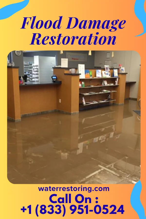 Flood Damage Restoration in Portage, IN