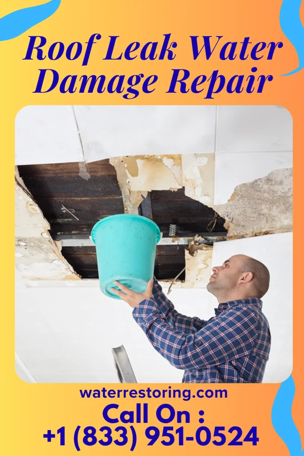 Roof Leak Water Damage Repair in Portage, IN