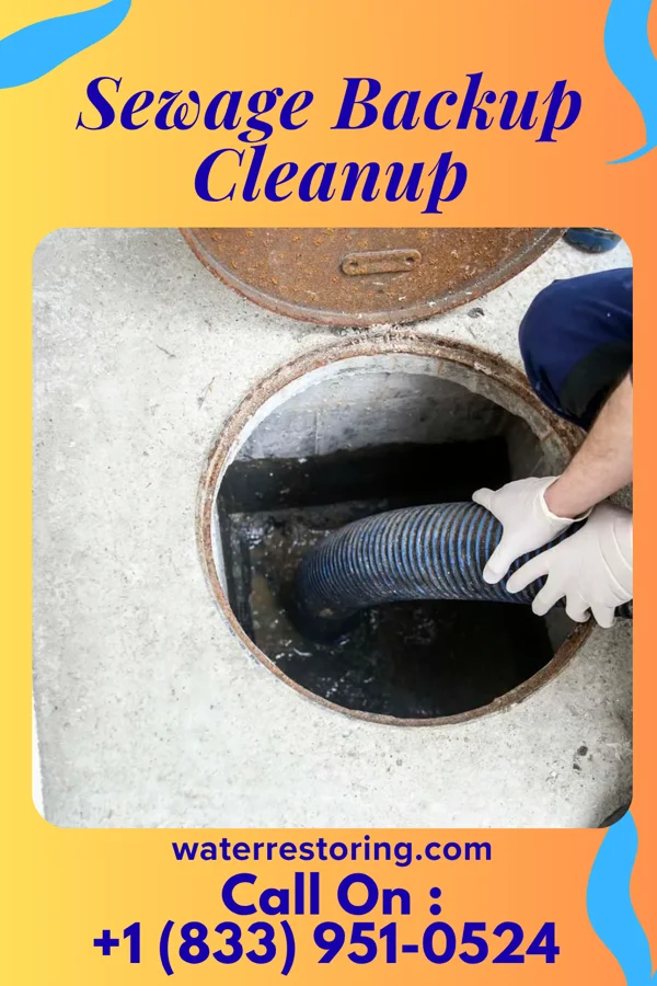 Sewage Backup Cleanup in Portage, IN
