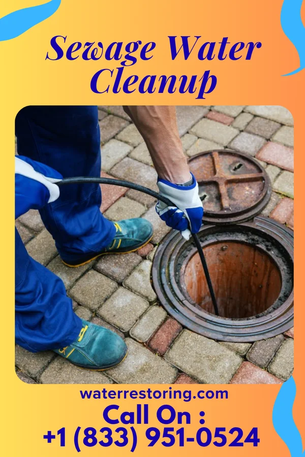 Sewage Water Cleanup in Portage, IN