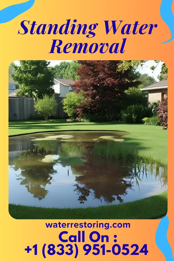Standing Water Removal in Portage, IN